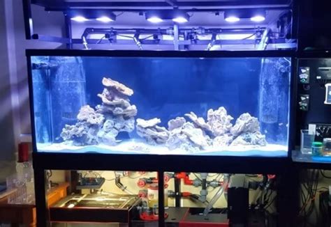 How To Set Up Marine Aquarium - Aquarium Views