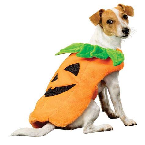 Thrills and Chills, Halloween Pumpkin Pet Costume size: Small, Thrills ...