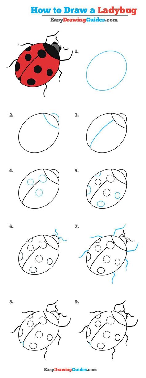 Learn How to Draw a Ladybug: Easy Step-by-Step Drawing Tutorial for ...