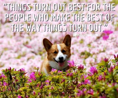 Pin by Ann Pina on Quotes | Corgi, Animals, Dogs