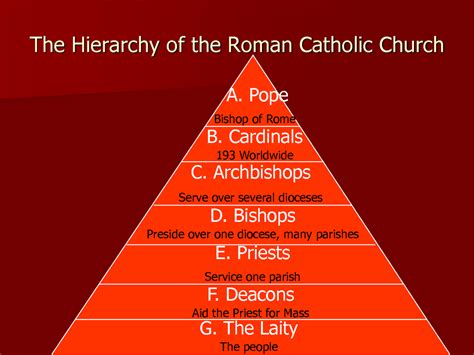 Hierarchy Of The Catholic Church Diagram