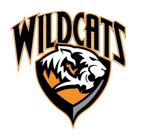 Ladycats Split a Pair Heading into Holidays - Marcellus News