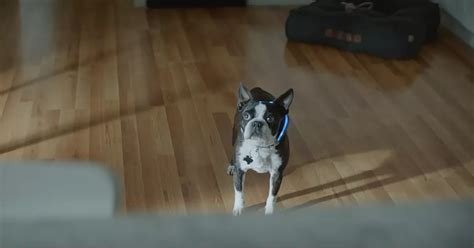 Amazon Super Bowl ad makes fun of Alexa fails and it's HILARIOUS - Mirror Online