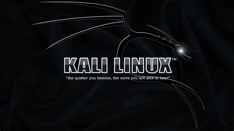 KALI LINUX DARK THEME | KALI LINUX DARK WALLPAPER