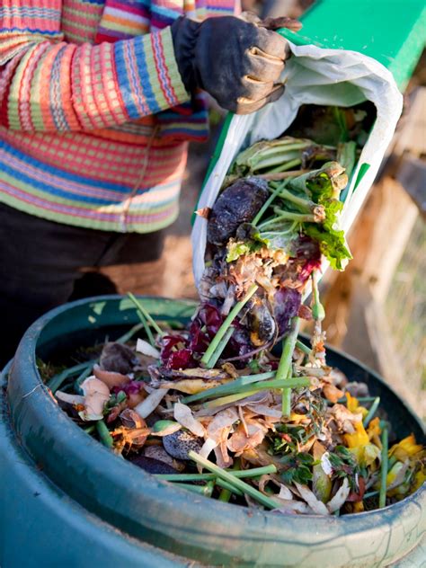 How to Compost Kitchen Waste | HGTV