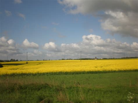 Zatylnys in Poland: Polish countryside