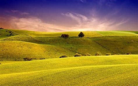 Grassland Backgrounds - Wallpaper Cave