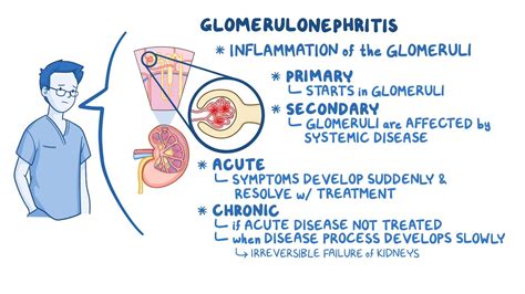 Glomerulonephritis Types