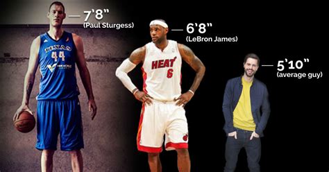 Top 10 All Time Tallest NBA Players [Updated 2020] - sportsshow.net