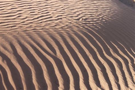 Wind blown ripples in the desert sand | Richard Allaway | Flickr