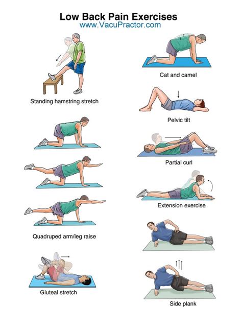 Exercises For Lower Back Pain Relief