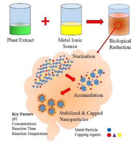 Materials | Free Full-Text | Green Synthesis of Metallic Nanoparticles via Biological Entities