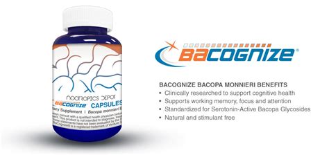 Bacopa monnieri: Bacognize vs. Synapsa - Which Ayurvedic Herb Is Best For You? - Nootropics Depot