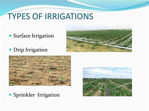 types of irrigation — Steemit