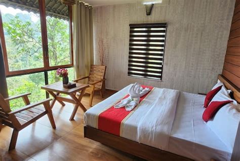 Tree6 Retreat 𝗕𝗢𝗢𝗞 Wayanad Tree house 𝘄𝗶𝘁𝗵 𝗙𝗥𝗘𝗘 𝗖𝗮𝗻𝗰𝗲𝗹𝗹𝗮𝘁𝗶𝗼𝗻