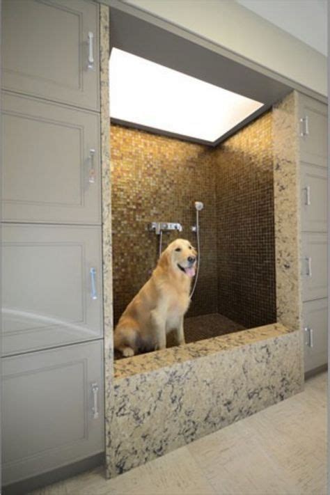 This Is The Home Your Dog Would Design (If You'd Only Let Them) | Dog shower, Dog rooms, Dog ...