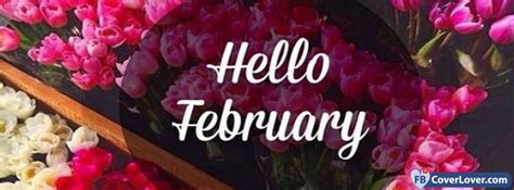 Hello February Flowers February - cover photos for Facebook - Facebook cover photos - Facebook ...