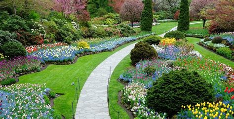 Artificial Landscaping Turf – Our House Decorate