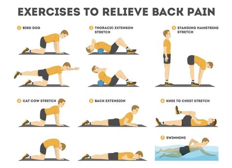 Lower back pain? Here are few exercises that can help - Kay Spears