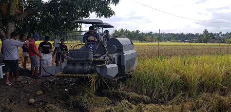 First Philippine Made Combined Rice Harvester : r/agriculturalequipment