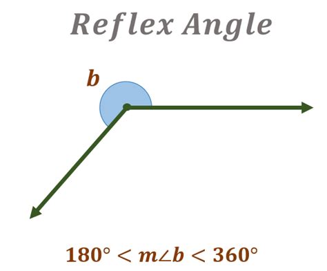 Reflex Angles | Definition, Examples, Measuring & Calculating