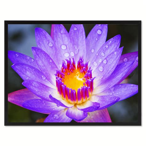 Buy Purple Lotus Flower Framed Canvas Print Home Décor Wall Art by ...