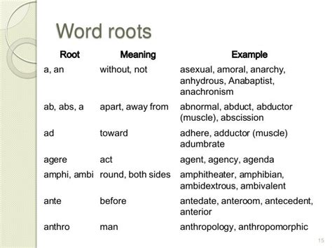 Vocabulary etymology