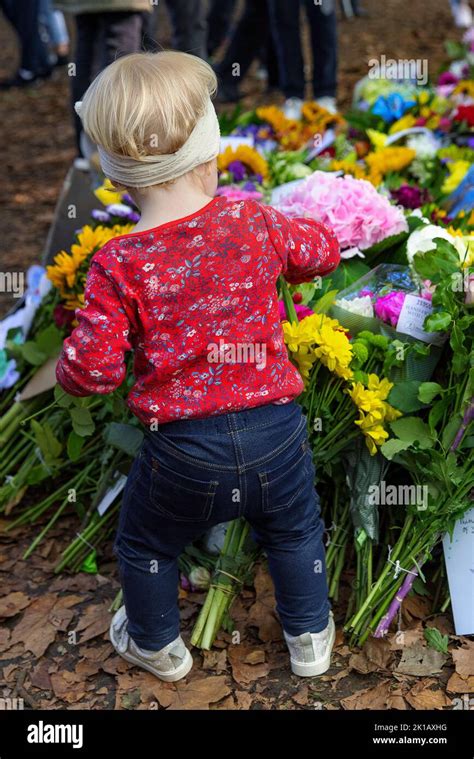 Floral Tributes to Queen Elizabeth II in Green Park London Stock Photo - Alamy