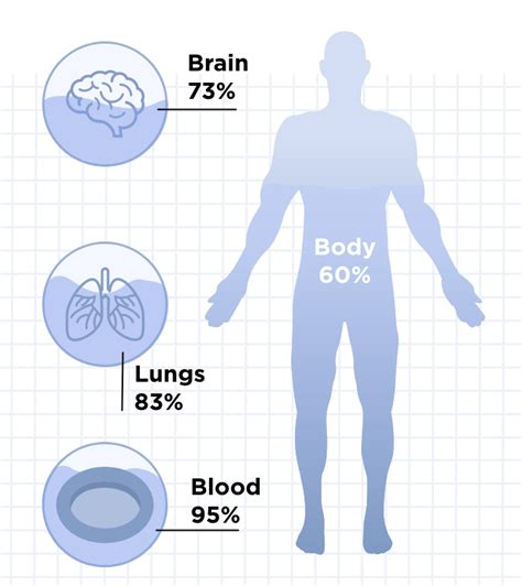 Body Water percentage - Health insights | Withings