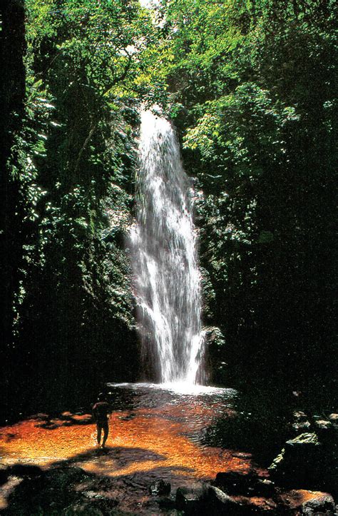 Parque Los Chorros | Caracas del valle al mar