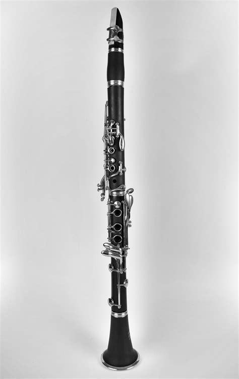 Free Images : music, black and white, artist, musical instrument, saxophone, jazz, clarinet ...