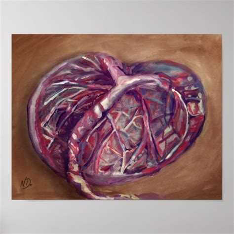 Placenta art poster - midwife office, doulas | Zazzle.com