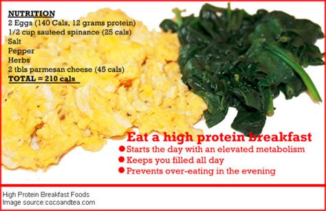 High Protein Breakfast Foods | All You Need to Know