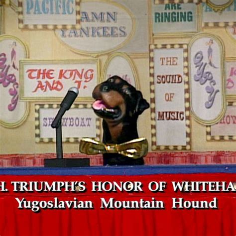 Triumph The Insult Comic Dog's First Appearance | Conan Classic