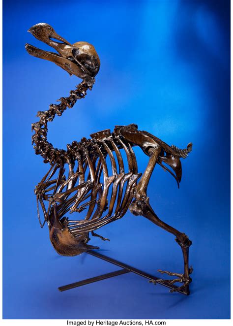 RARE DODO BIRD SKELETON CAST. ... Dinosauria Casts | Lot #49221 ...