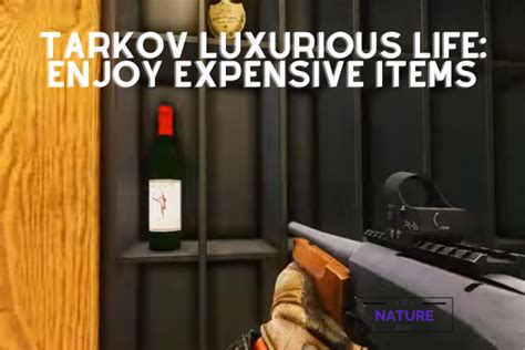 Tarkov Luxurious Life: Enjoy Expensive Items - The Nature Hero