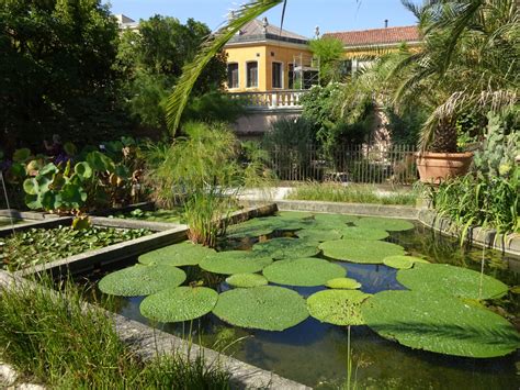 Botanischer Garten von Padua - unescohunt.com