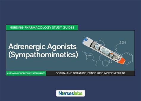 Adrenergic Agonists (Sympathomimetics) Nursing Pharmacology Study Guide