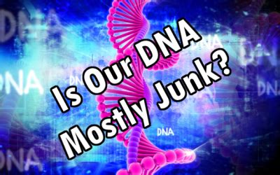 Junk DNA? Study Says 8.2% of Human Genes are ‘Functional’