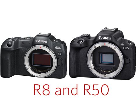 Canon Adds EOS R50 and EOS R8 to the Growing EOS R System – Seriously Photography