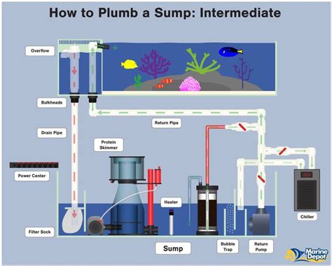 How to Plumb a Sump - Plumbing Diagrams For Your Aquarium Sump | Saltwater aquarium, Aquarium ...