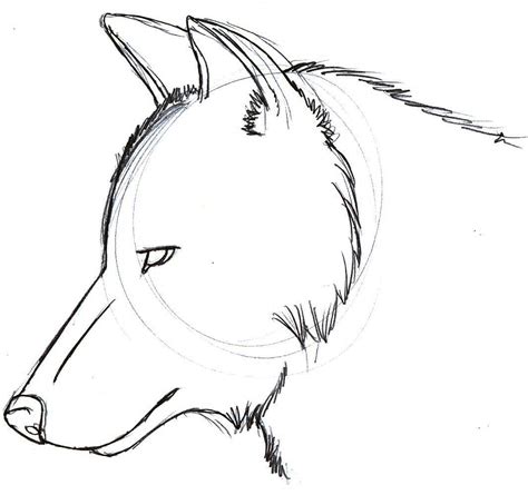 Free Easy Wolf Drawings, Download Free Easy Wolf Drawings png images, Free ClipArts on Clipart ...