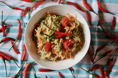 Best Laos Papaya Salad Tum Mak Hoong Recipe | dobbernationLOVES