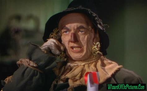 Wizard Of Oz Scarecrow Quotes. QuotesGram