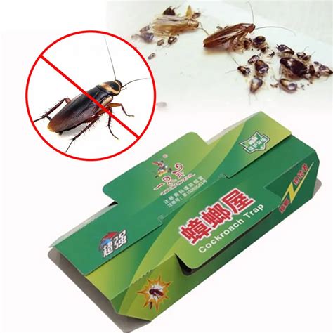 5PCS/Lot Cockroach Killer Bait Sticky Cockroach Traps Environmental Non ...