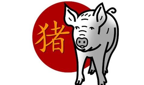 Pig Chinese zodiac sign traits: What it means to be a Pig - Hot Lifestyle News