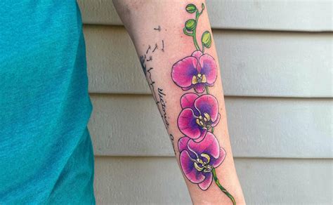 Cattleya Flower Tattoo Meaning | Best Flower Site