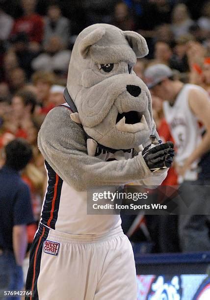 115 Gonzaga Mascot Spike Stock Photos, High-Res Pictures, and Images ...