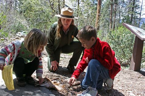 Junior Rangers Program Thrives In Yosemite | Sierra News Online