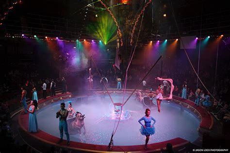 Blackpool Tower Circus Tickets, Exclusive Family Ticket